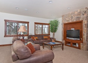 Cozy living room with brown sofas
