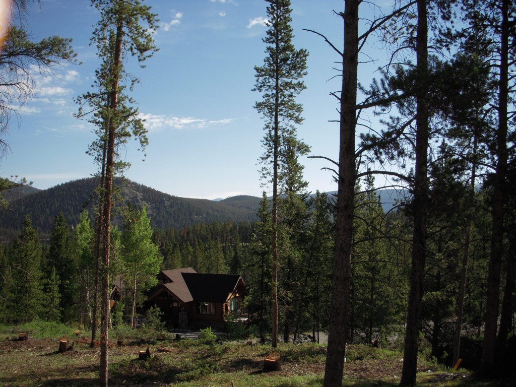 Cabin nestled in forested mountain landscape