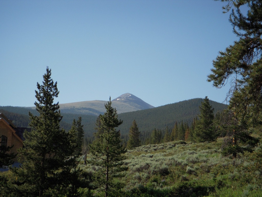 Mountain with trees and clear sky