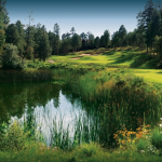 Custom Home Builder Torreon AZ