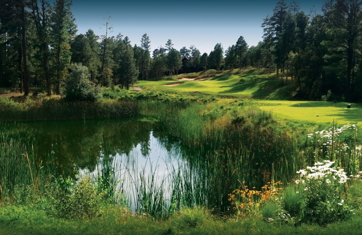 Scenic golf course with pond and trees