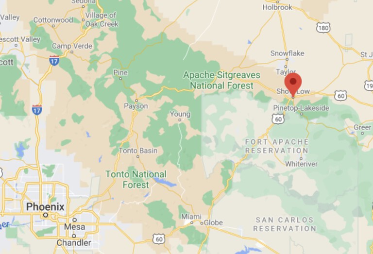 Map of Arizona showing towns and forests